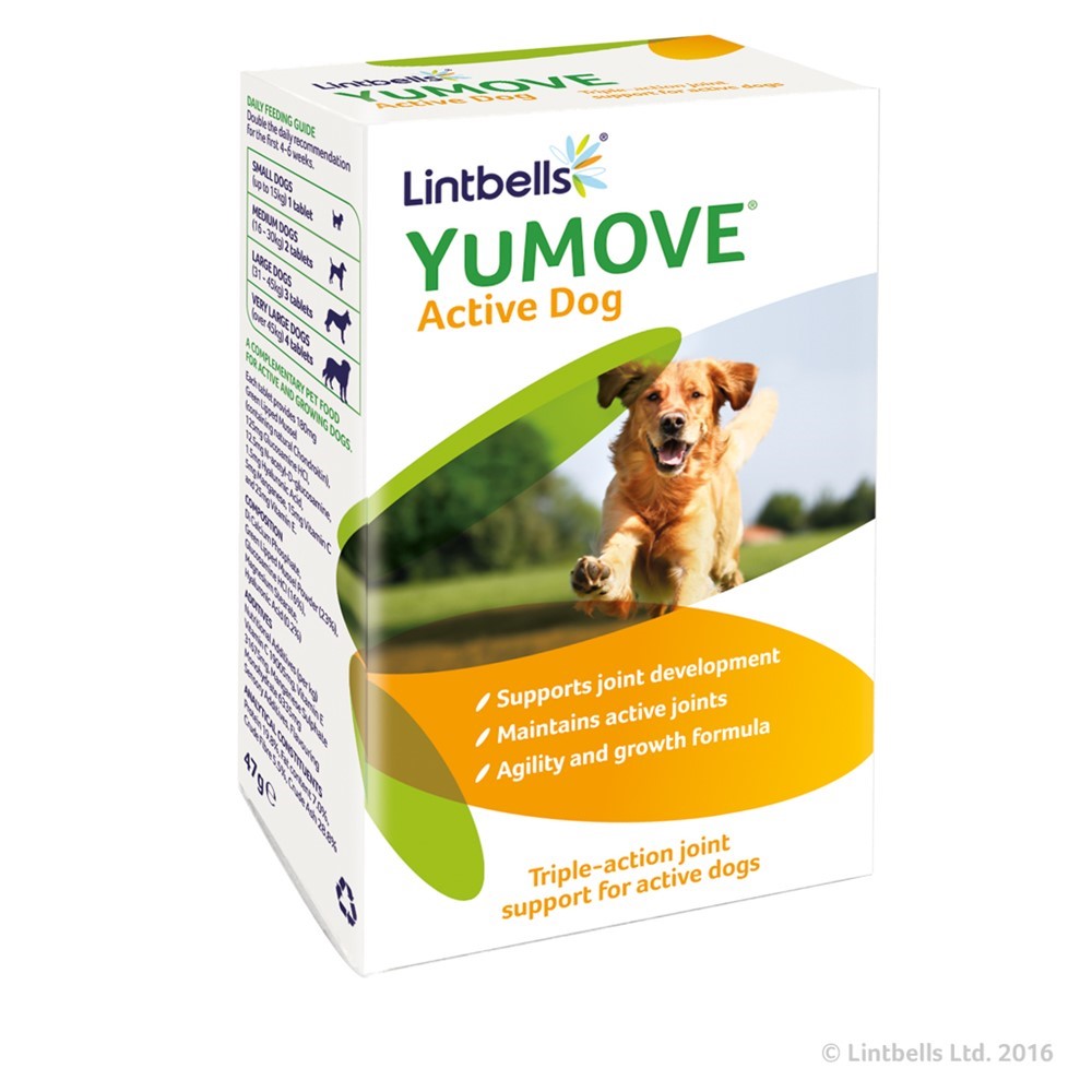 YuMOVE_Active_Dog_60Tab_01042019_173641.jpg